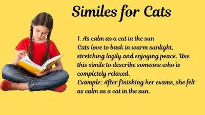 Similes for Cats