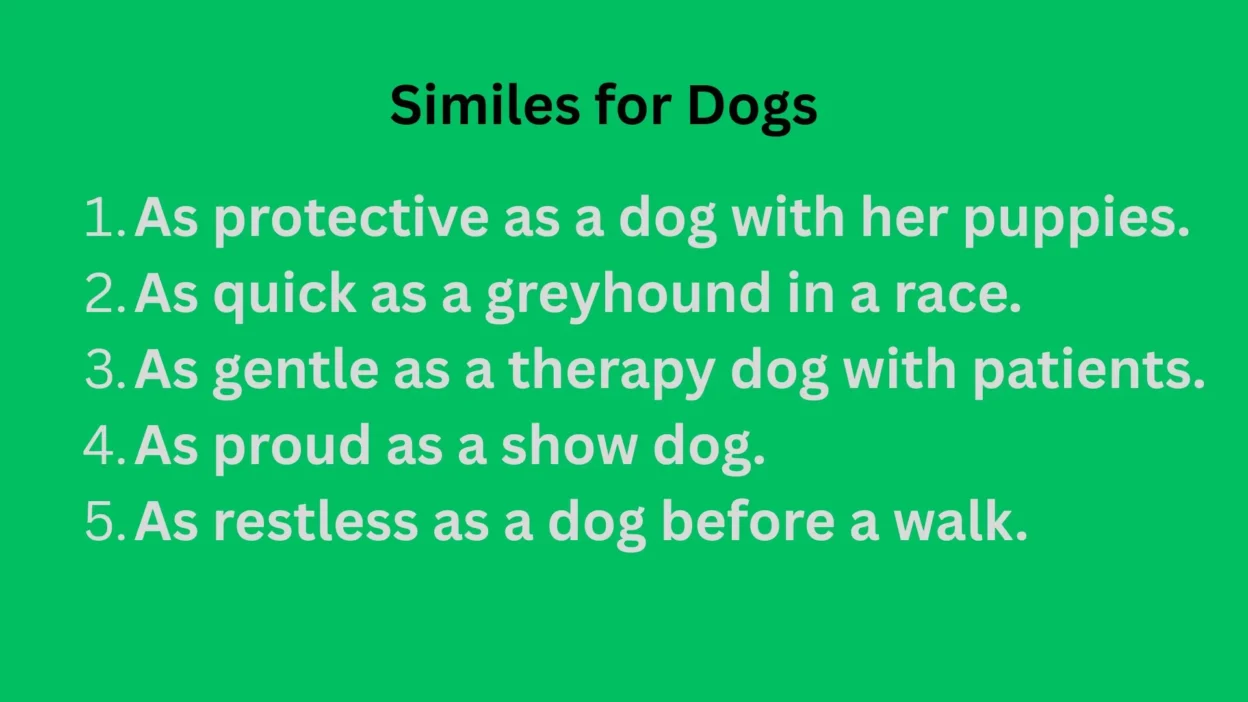 Similes for Dogs