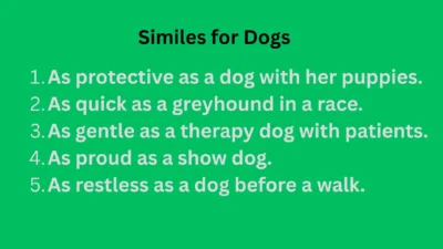 Similes for Dogs
