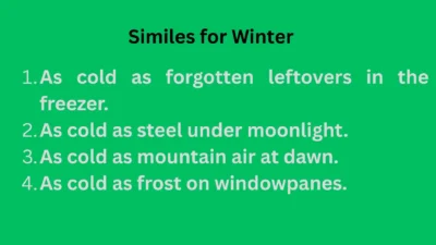 41 Beautiful Similes for Winter Examples