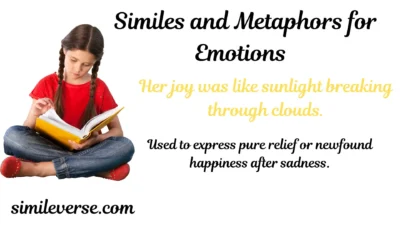 Similes and Metaphors for Emotions
