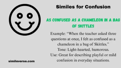 Similes for Confusion