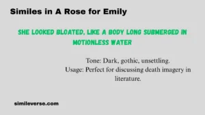 Similes in A Rose for Emily