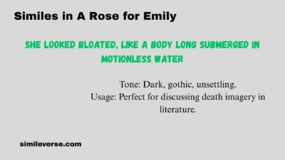 Similes in A Rose for Emily