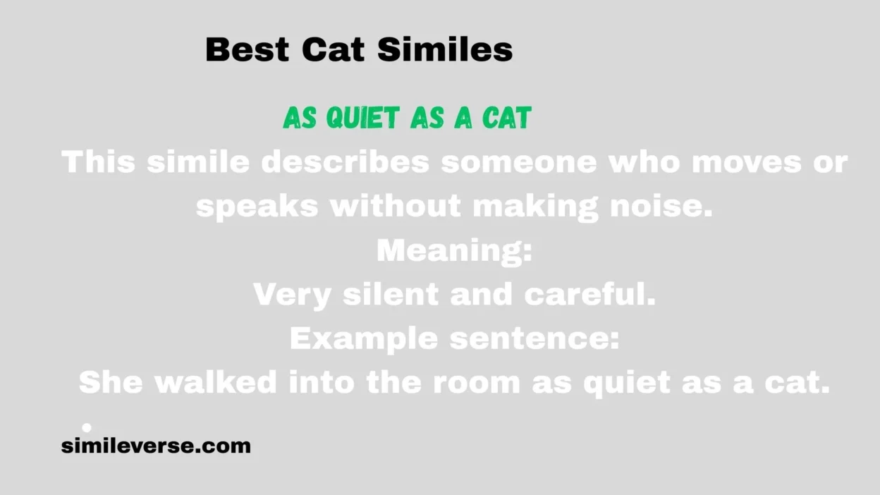Best Cat Similes