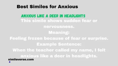 Best Similes for Anxious