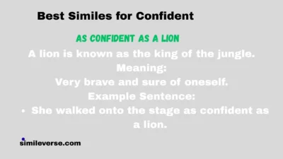 Best Similes for Confident