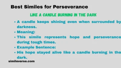 Best Similes for Perseverance