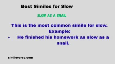 Best Similes for Slow
