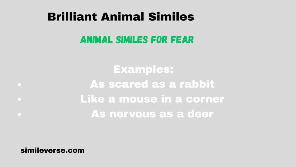 Brilliant Animal Similes