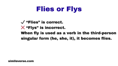 Flies or Flys