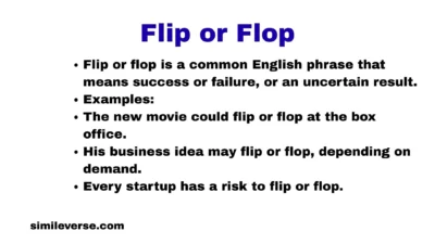 Flip or Flop