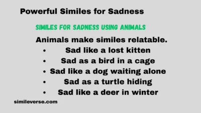 Powerful Similes for Sadness