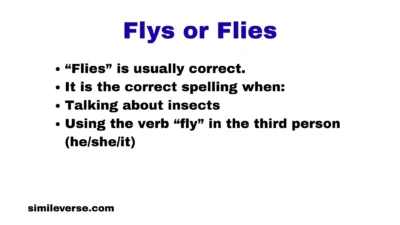 Flys or Flies